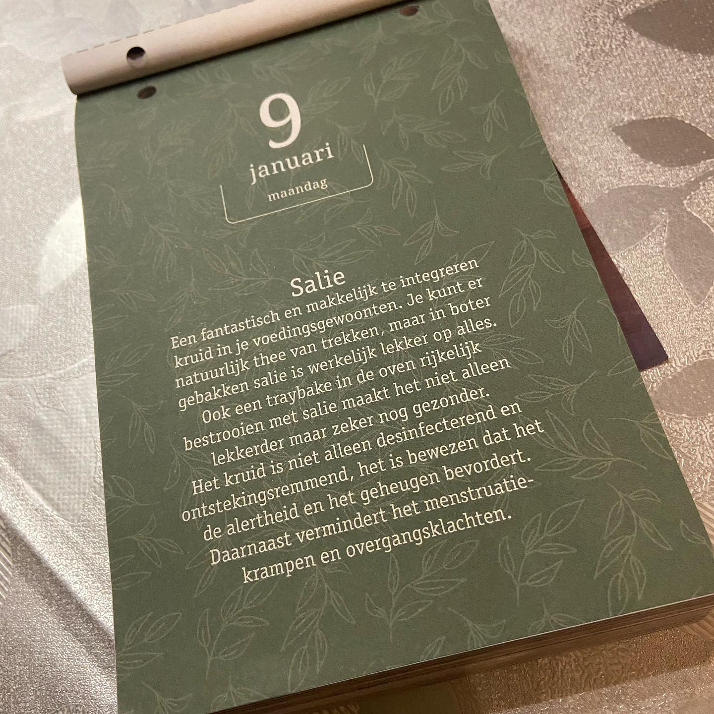Salie 🌿
Een van mijn lievelingskruiden! L💚ve de kleur, geur, smaak en medicinale eigenschappen 😍
#salie #kruiden